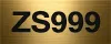 logo ZS999